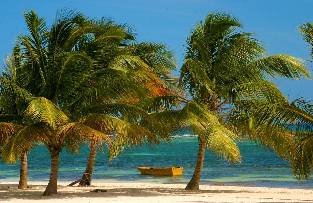 Bayahibe Guest House Hotel ภายนอก รูปภาพ